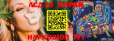 прущие крисы Кингисепп