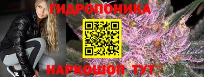 скорость Кимры