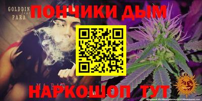 прущие крисы Кингисепп