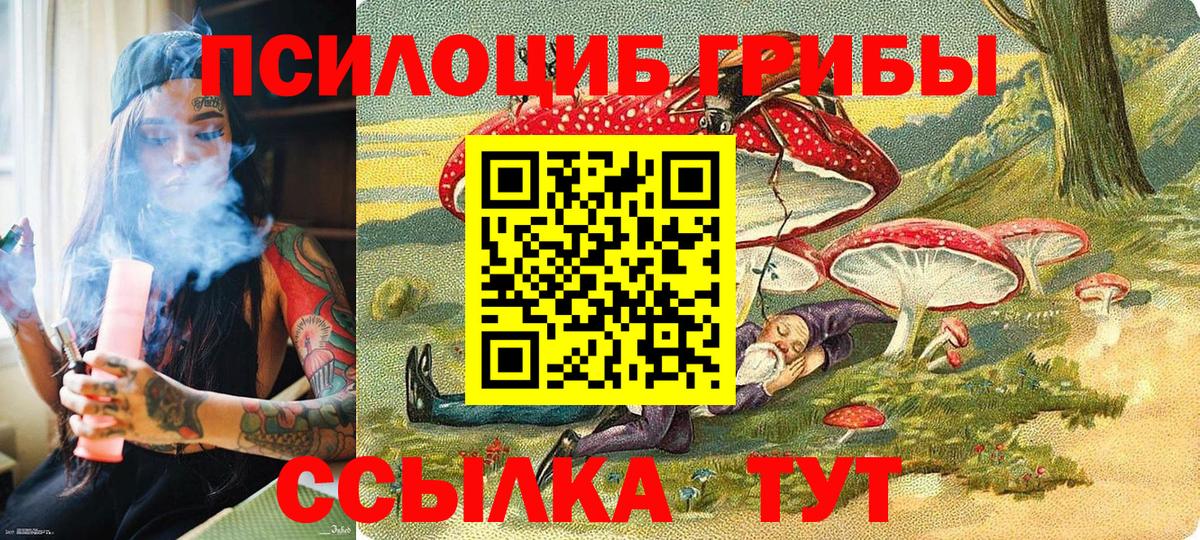 Галлюциногенные грибы Psilocybine cubensis Коммунар